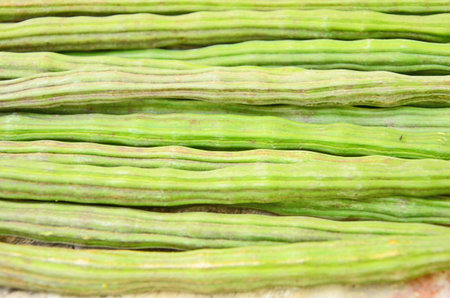 Nature lines on moringa fruitsの写真素材