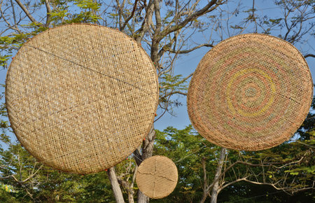Woven bamboo tray with treesの写真素材