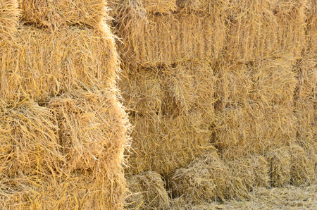 Sunlight drop on the straw wallの写真素材