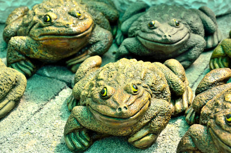 Frog scultures on concrete blockの写真素材
