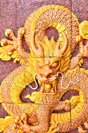 Golden dagon on the wallの写真素材