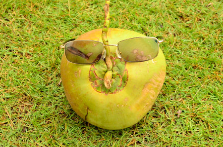 Glasses on coconut on green grassの写真素材