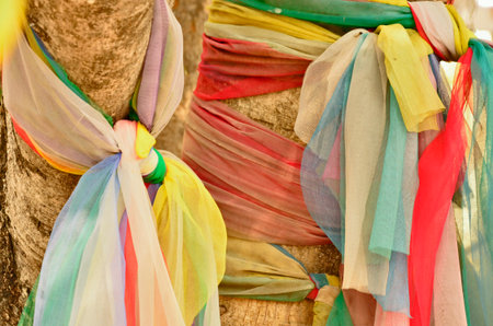 Three color clothes on the  treeの写真素材