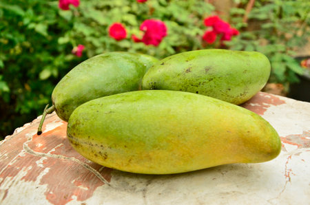 Three ripe mangoes on concrete floorの写真素材