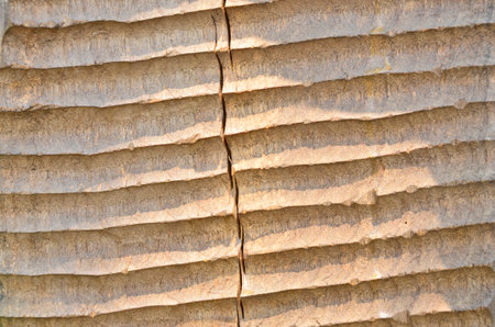 Sunlight drop on wood patternの写真素材