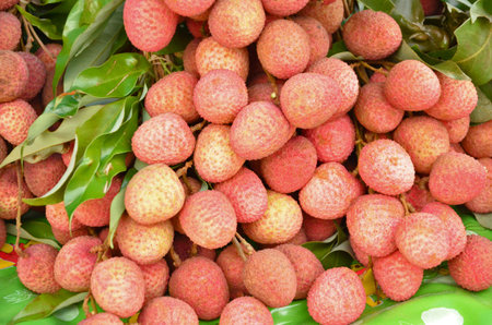 Yummy litchi  in thai fruit season