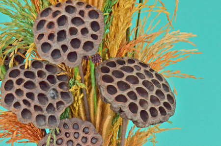 Beautiful dried fruit ornament designの写真素材