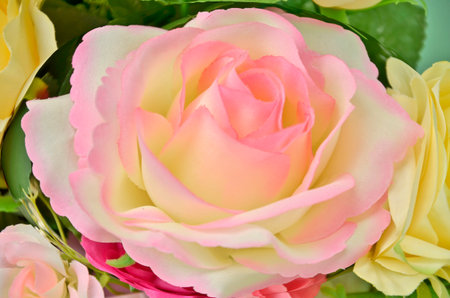 Technical spherize of sweet roseの写真素材