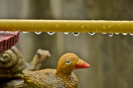 Clear water drops with animal sculpturesの写真素材