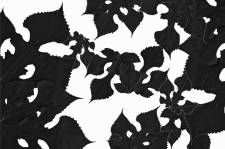 Beautiful pattern of black leaves