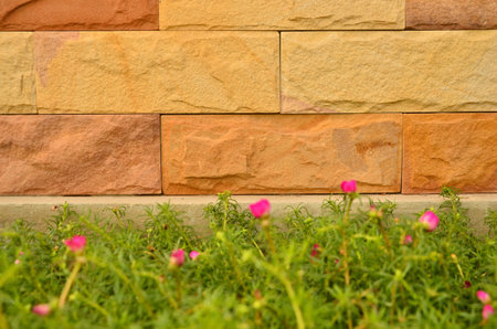 Beautiful rock wall with flowerの写真素材