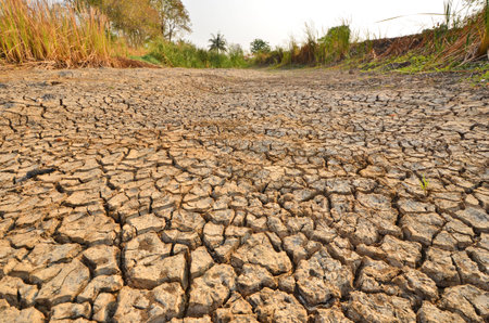 Dried canal in the summer of Thailand