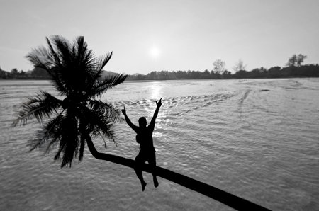 A man is jumping from a palmの写真素材