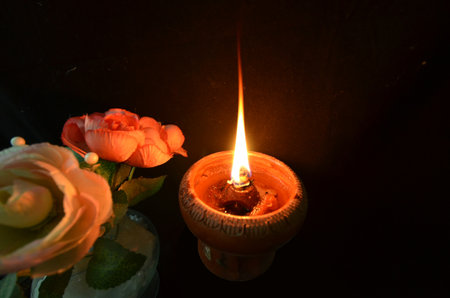 Beautiful flowers in the light of lampの写真素材