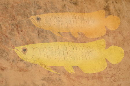 Carved arowana fish on the cow leatherの写真素材