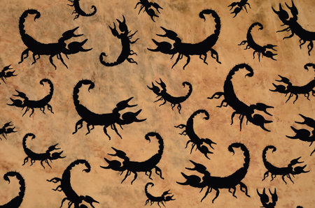 Black scorpion patten on leather backgroundの写真素材