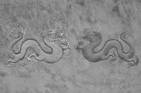 Black and white image of double dragonsの写真素材