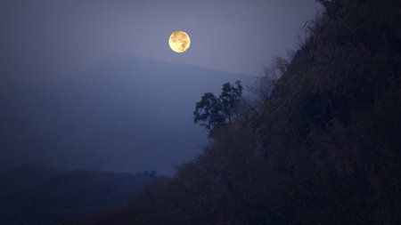 Mysterious valley under full moon nightの写真素材