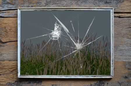 Broken mirrow on grass flower picture on the wall