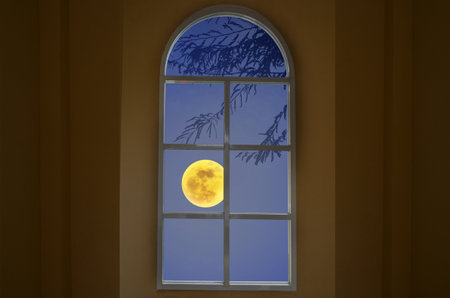 Full moon night in the beautiful window viewの写真素材