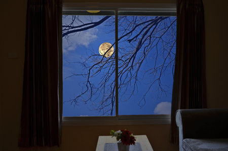 Beautiful full moon and branches in window viewの写真素材