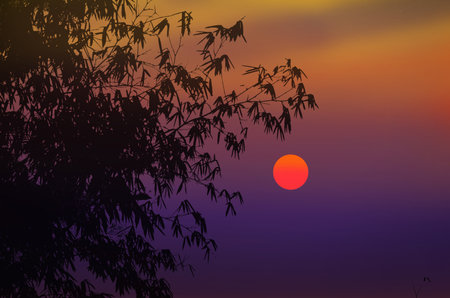 Beautiful sun and sky in early morningの写真素材