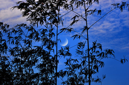 Waning moon with blue and cloudy skyの写真素材