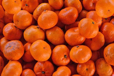 Small sweet and fresh oranges close upの写真素材