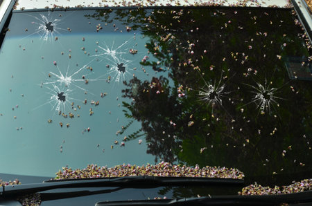 Dried flowers fall on broken gall of a carの写真素材