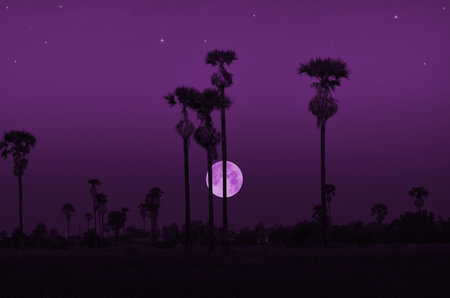 Arrayの写真素材