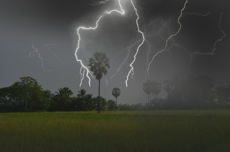 Heavy rain and lightening over the fieldの写真素材