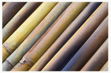 Diagonal pattern of burnt bamboo skinの写真素材