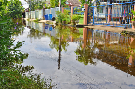 Reflection of house fence in street water