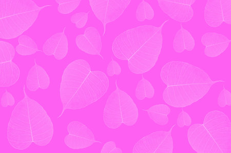 hite pattern of banyan leaf vein  on violet backgroundの写真素材