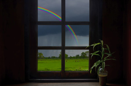 Beautiful rainbow in window viewの写真素材