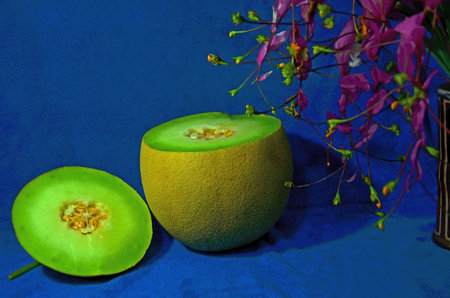 Fresh green fruit of melon after cuttingの写真素材