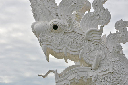 Beautiful white dragon head with black eyeの写真素材