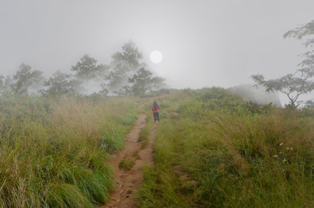 Red jacket girl walks to mountaintop in early morningの写真素材