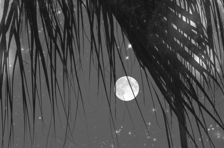 Lovely full moon and bright stars in the night of winterの写真素材