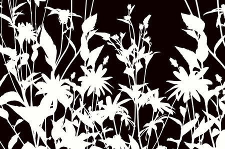 White flower and leaf with branch image of sunchoke flowersの写真素材