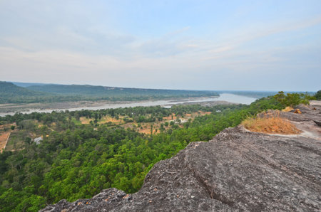 Bird eye view of patio and green forest with long riverの写真素材