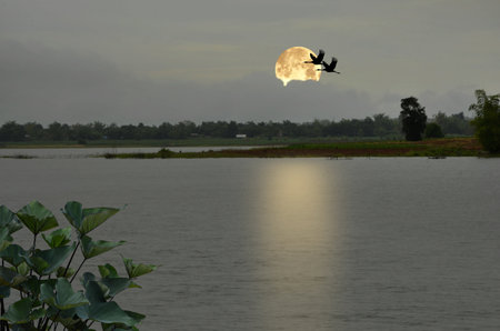 Peaceful countryside in the evening of Thailandの写真素材