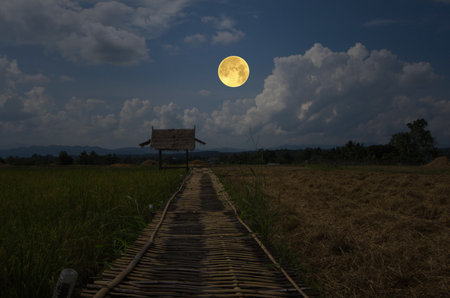 Beautiful full moon in blue sky over the fieldの写真素材