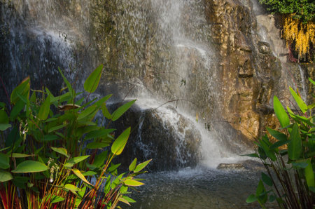 Green aquatic plants and white waterfall