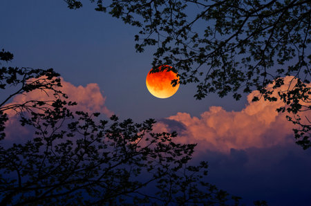 Black branches and leaves with blood moonの写真素材