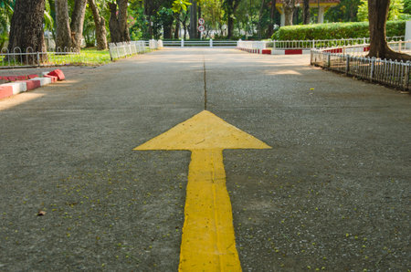 Yellow arrow direction sign on the roadの写真素材