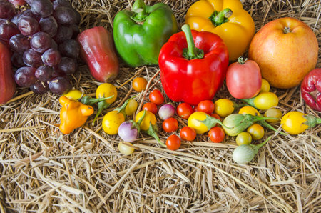 Beautiful colored fruits on straw floorの写真素材