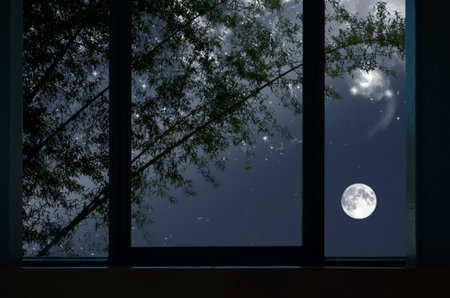 Bright moon and stars with bamboo tree in window viewの写真素材