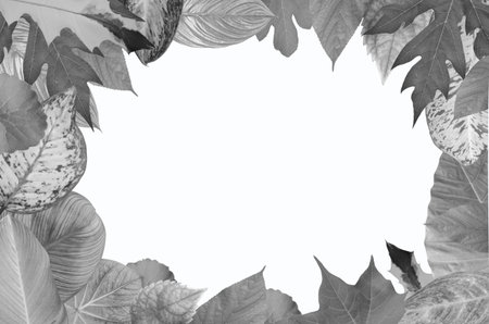 Black and white leaf border on white background
