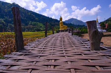 Golden Buddha image and white pagoda in the valleyの写真素材